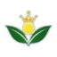 LEMONGHERBAL